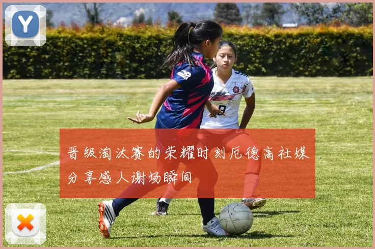 晋级淘汰赛的荣耀时刻厄德高社媒分享感人谢场瞬间