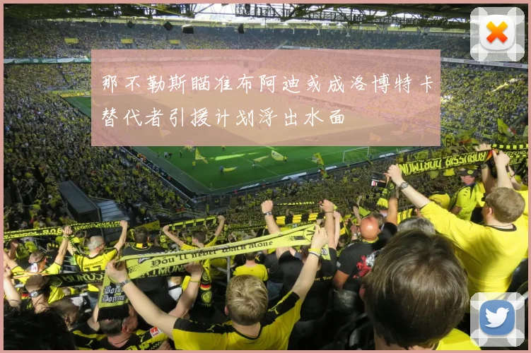 那不勒斯瞄准布阿迪或成洛博特卡替代者引援计划浮出水面