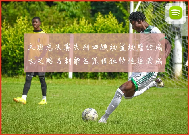 文班总决赛失利回顾幼鲨幼詹的成长之路马刺能否凭借独特性逆袭成功
